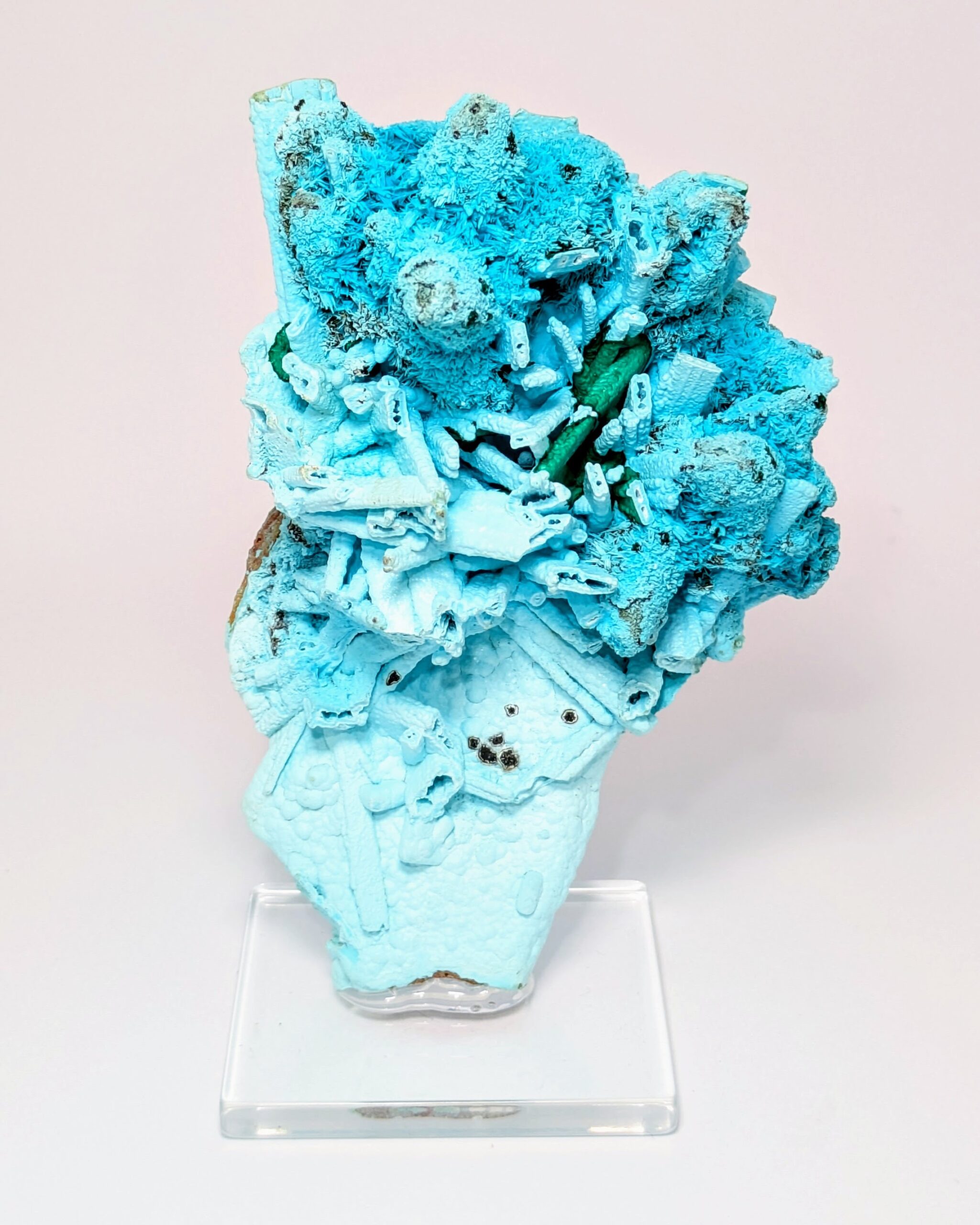 Chrysocholla & Malachite – Tenke Fungurume, DR Congo